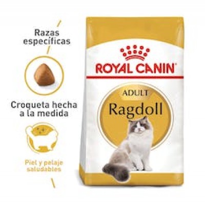 Comida Para Gato Royal Canin Ragdoll x2Kg